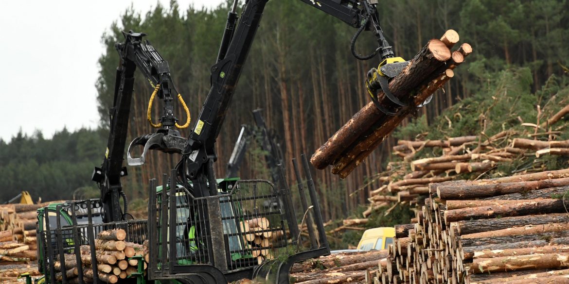 Німецький суд дозволив Tesla вирубити ліс для будівництва заводу
