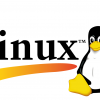 Розробники Linux перейшли на нейтральні терміни в коді для боротьби з расизмом