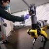 Boston Dynamics створили робота-доктора для безконтактної допомоги пацієнтам з COVID-19