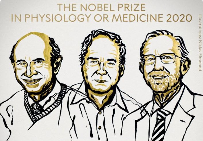 Названы лауреаты Нобелевской премии 2020 в области медицины