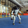 Boston Dynamics випустила новорічне відео з танцюючими роботами