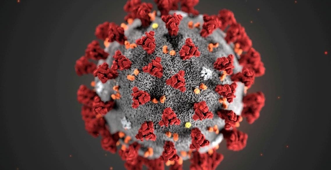 ВООЗ назвала 4 ймовірні версії появи коронавіруса