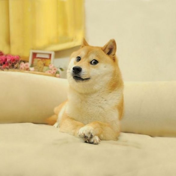 Популярний мем Doge продали у форматі NFT на онлайн-аукціоні за $4 млн