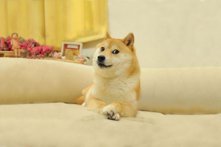 Популярнейший мем Doge продали в формате NFT на онлайн-аукционе за $4 млн