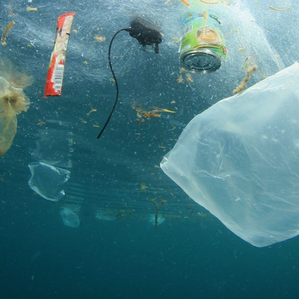 Яке сміття найсильніше забруднило світовий океан