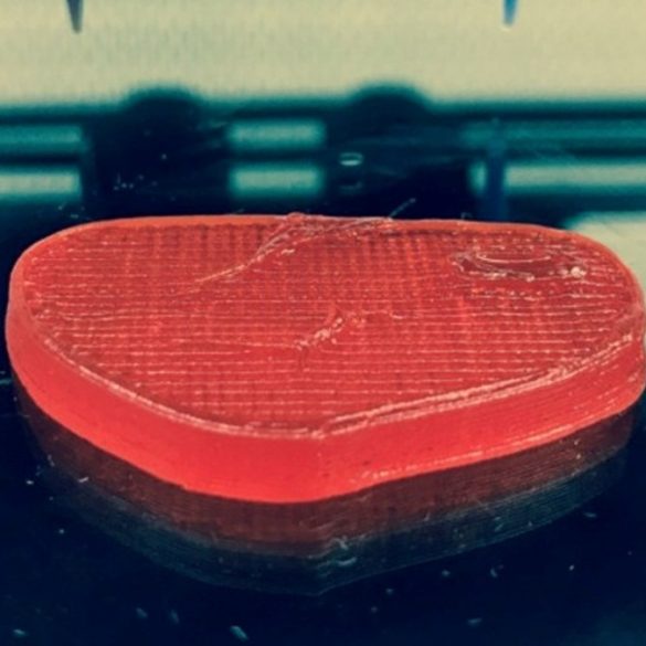 Испанский стартап печатает веганские стейки на 3D-принтере
