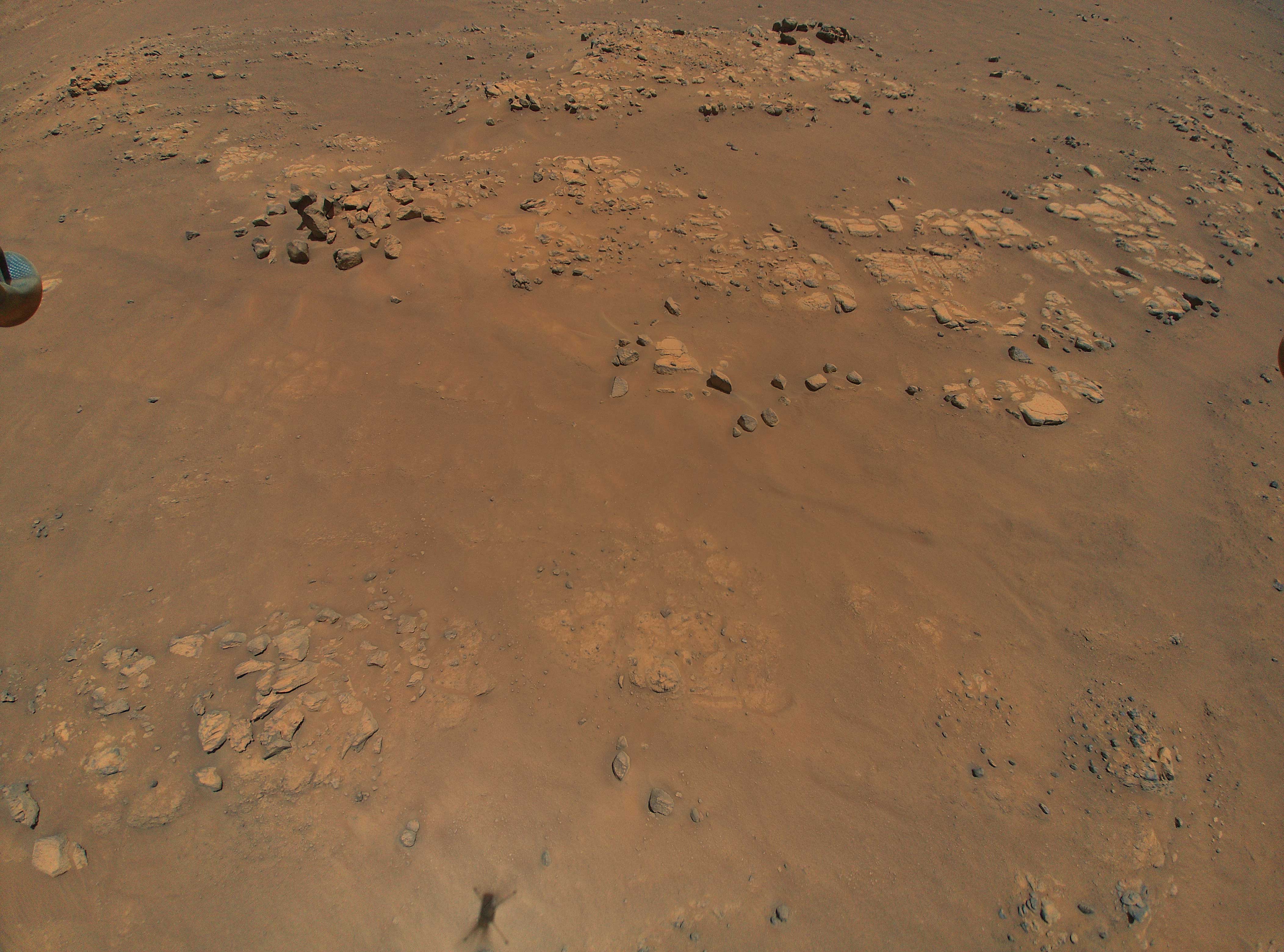 Гелікоптер NASA надіслав яскраві знімки з Марса