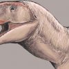 В Узбекистане нашли останки гигантского хищного динозавра с акульими зубами