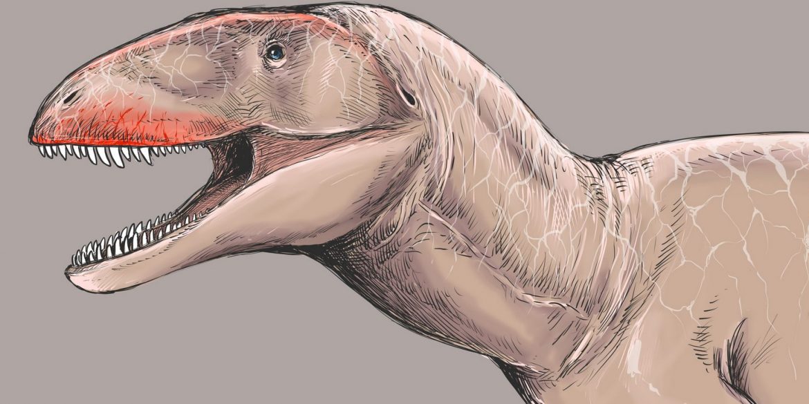В Узбекистані знайшли останки гігантського хижого динозавра з акулячими зубами