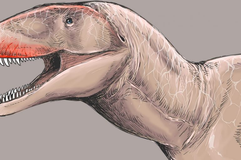 В Узбекистане нашли останки гигантского хищного динозавра с акульими зубами