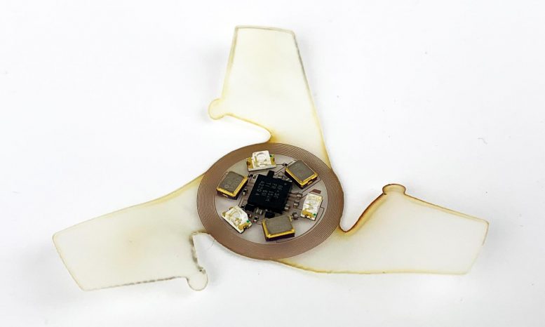 Американские ученые создали летающий микрочип миллиметровый размером