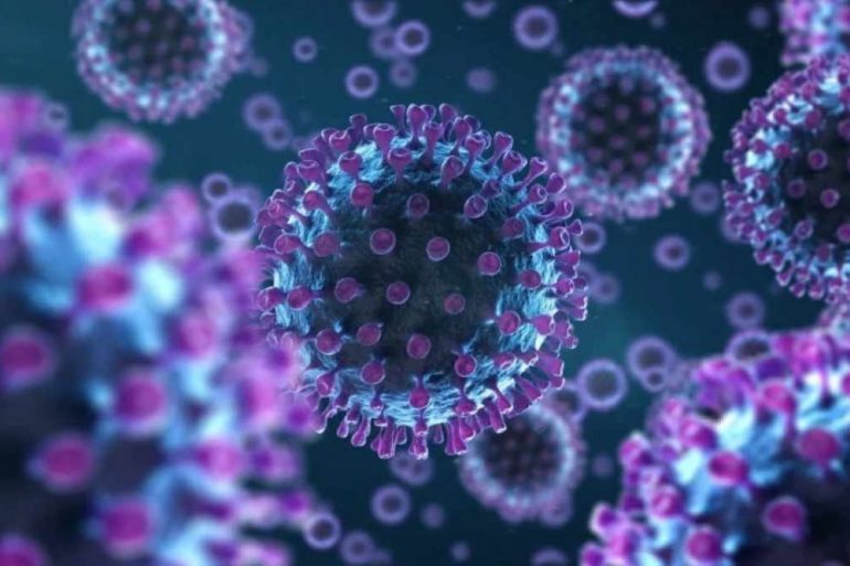 Ученые выяснили, какая вакцина дает больше антител: Pfizer или Moderna
