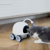 У США створили робота для розваги домашніх тварин