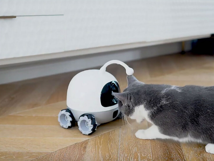 В США создали робота для развлечения домашних животных