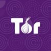 У Росії заблокували браузер TOR