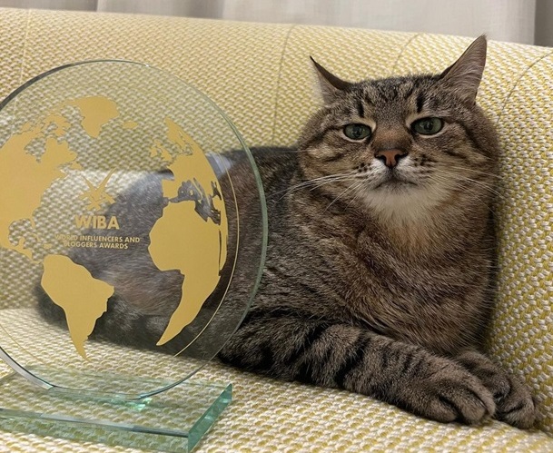 Кіт Степан з Харкова отримав премію World Influencers and Bloggers Awards у Франції