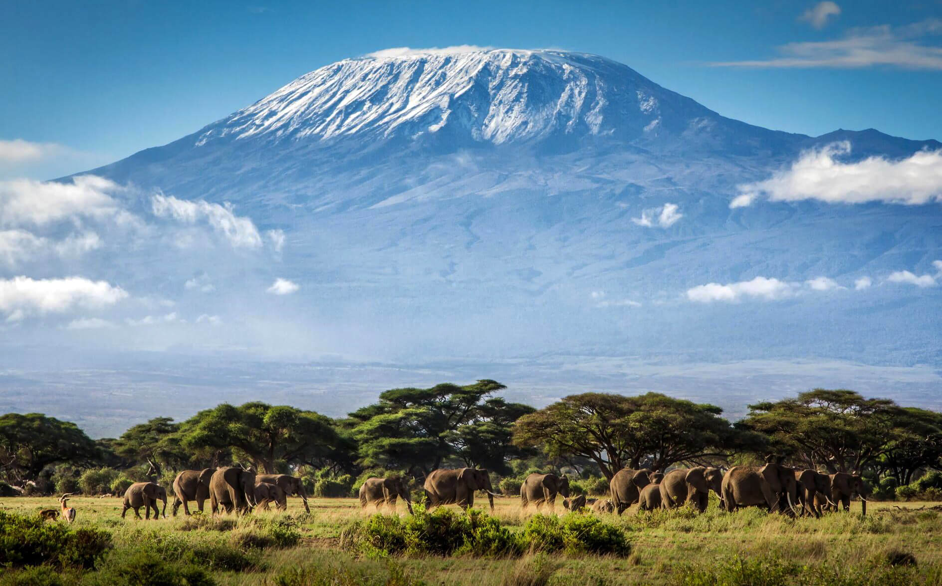 На горе Килиманджаро установили высокоскоростной интернет