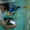 В США создали первый в мире мессенджер для общения под водой