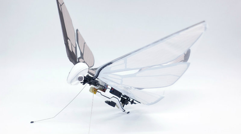 Турецька компанія розробила розвідувальний дрон-бабку