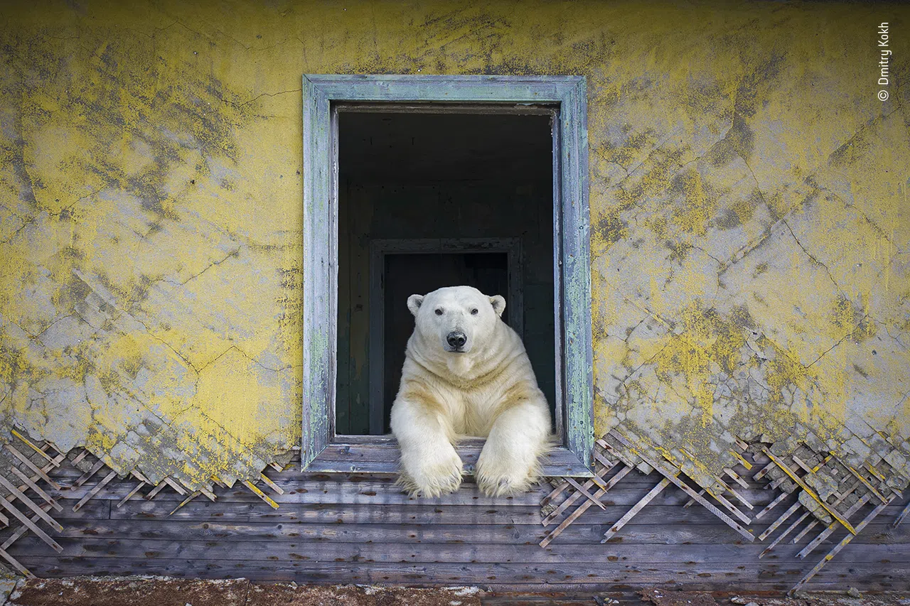 Лучшие фото дикой природы 2022 года