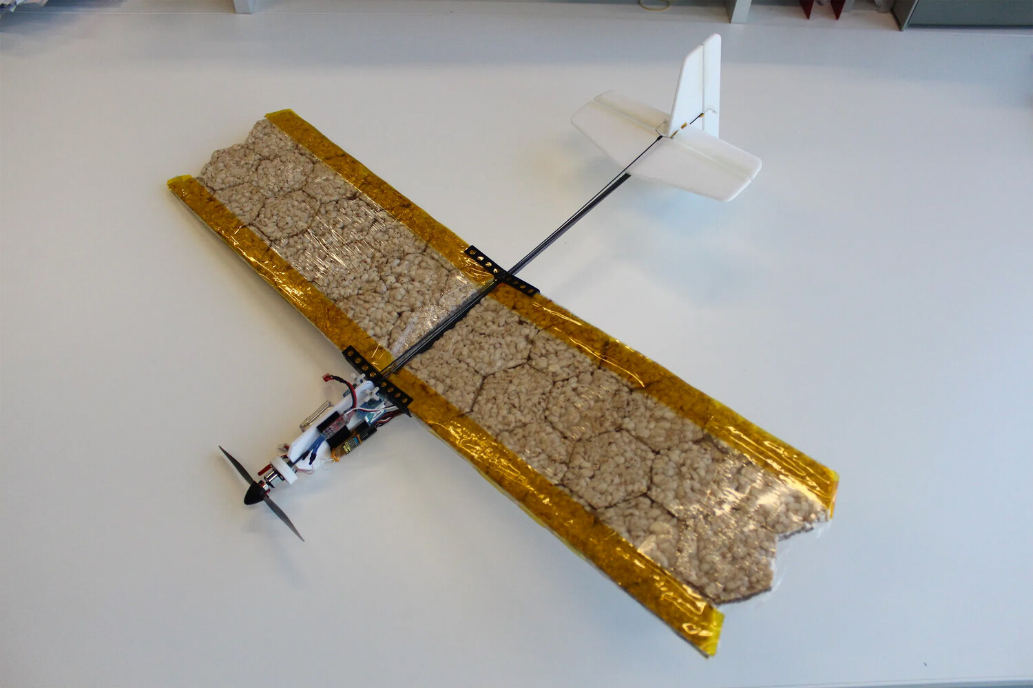 Швейцарські вчені створили їстівний безпілотник з рису