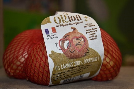 У Франції вивели сорт цибулі, яка не викликає сліз