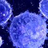 Американські вчені розробили клітини-кіборги, які вбивають рак