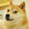 Twitter неожиданно поставил своим логотипом мем Doge
