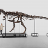 Скелет тираннозавра продали на аукционе за рекордные $6,1 млн