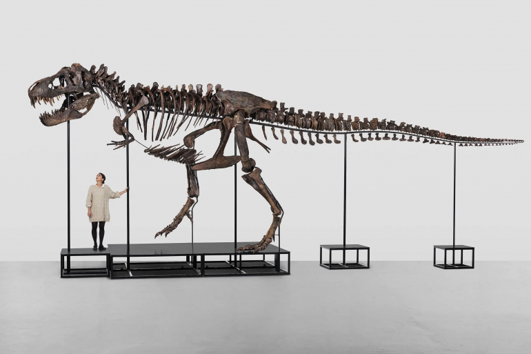 Скелет тираннозавра продали на аукционе за рекордные $6,1 млн
