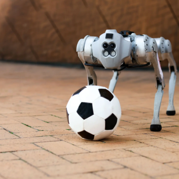 Американские инженеры создали робопса, который умеет играть в футбол