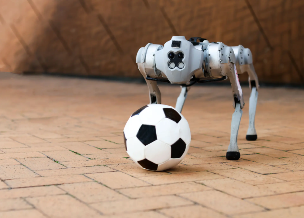 Американські інженери створили робопса, який вміє грати у футбол