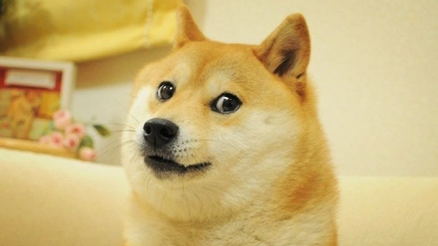 Twitter неожиданно поставил своим логотипом мем Doge