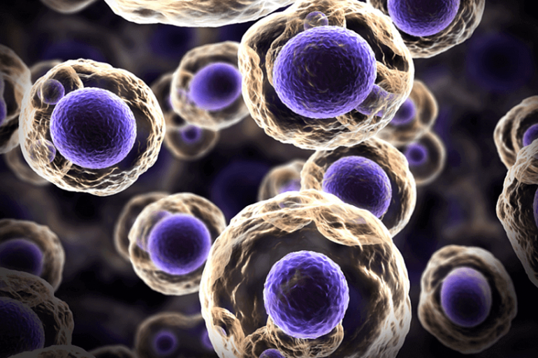 Научный прорыв: ученым удалось создать эмбрионы человека всего лишь из одной стволовой клетки