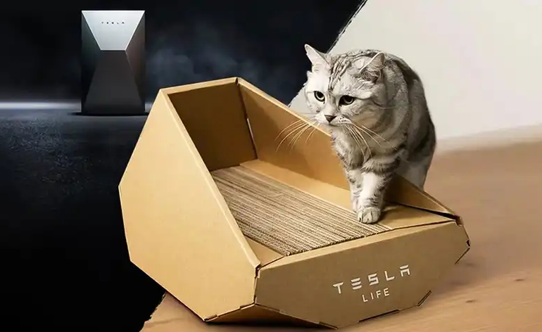Tesla випустила лежак для котів у стилі електропікапа Cybertruck