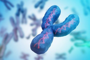 Вченим вдалося розшифрувати Y-хромосому людини
