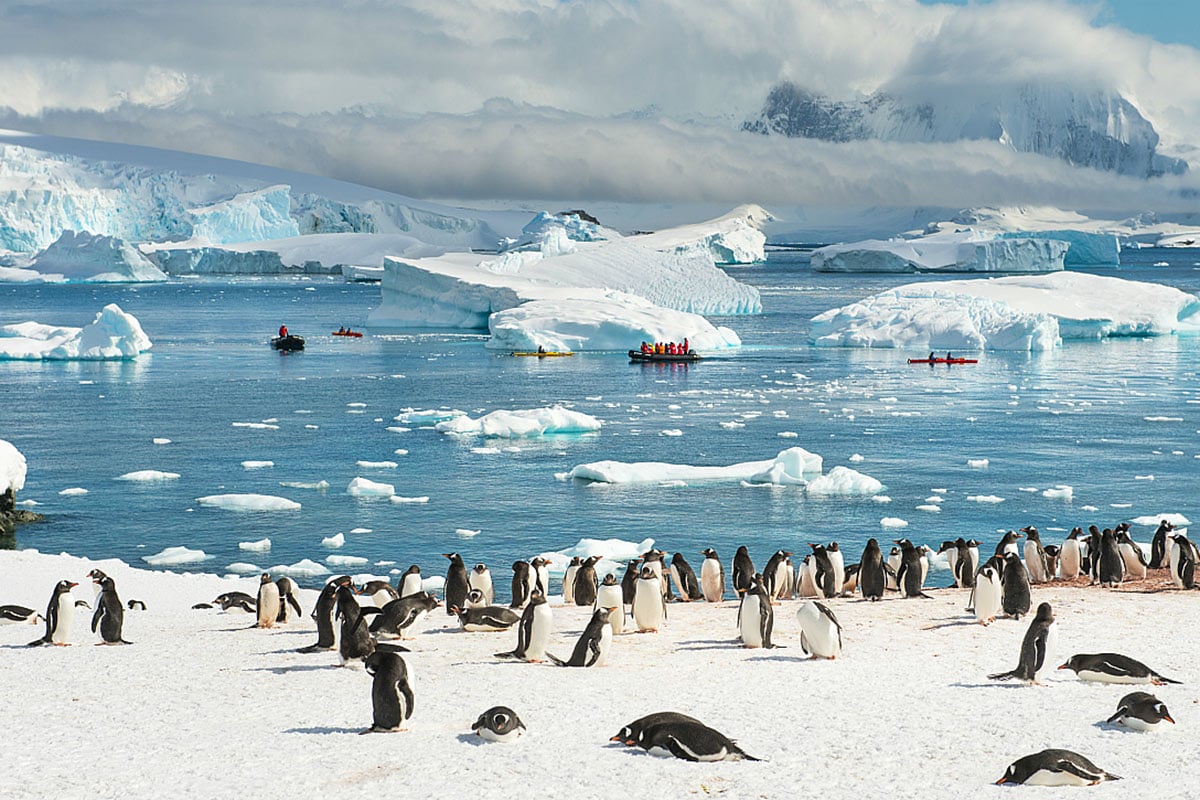 Ученые заявили о рекордном падении уровня льда вокруг Антарктиды