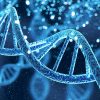 У США дозволили "редагувати" гени для лікування смертельної хвороби