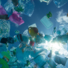 Американські вчені створили біорозкладний пластик із водоростей