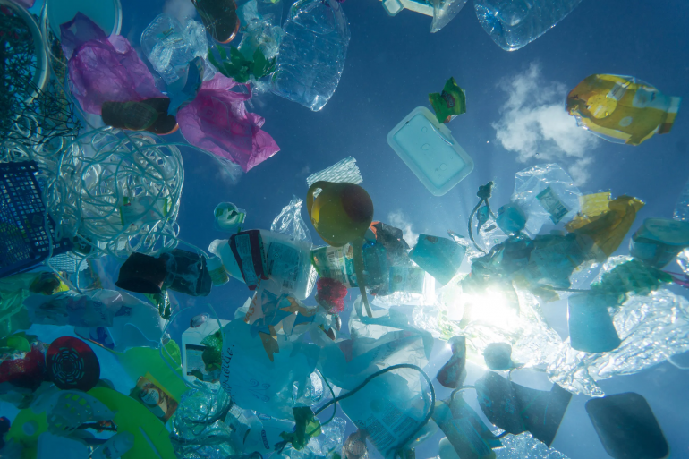 Американські вчені створили біорозкладний пластик із водоростей